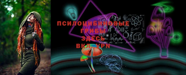 МДПВ Абдулино