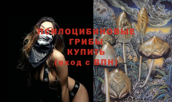 МДПВ Абдулино