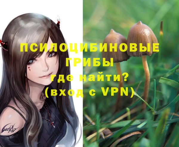метадон Абаза