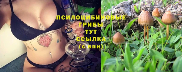 МДПВ Абдулино